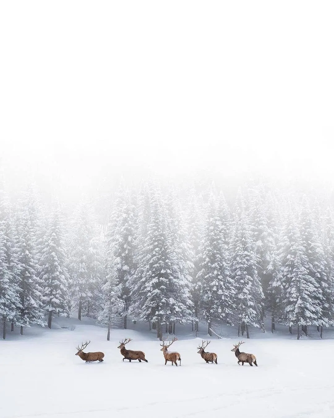 5 Adventurous things you can do during the Christmas holidays