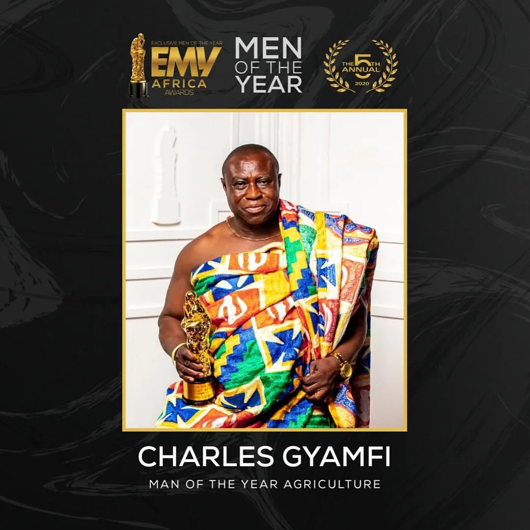 Meet the winners of the 2020 EMY Africa Awards