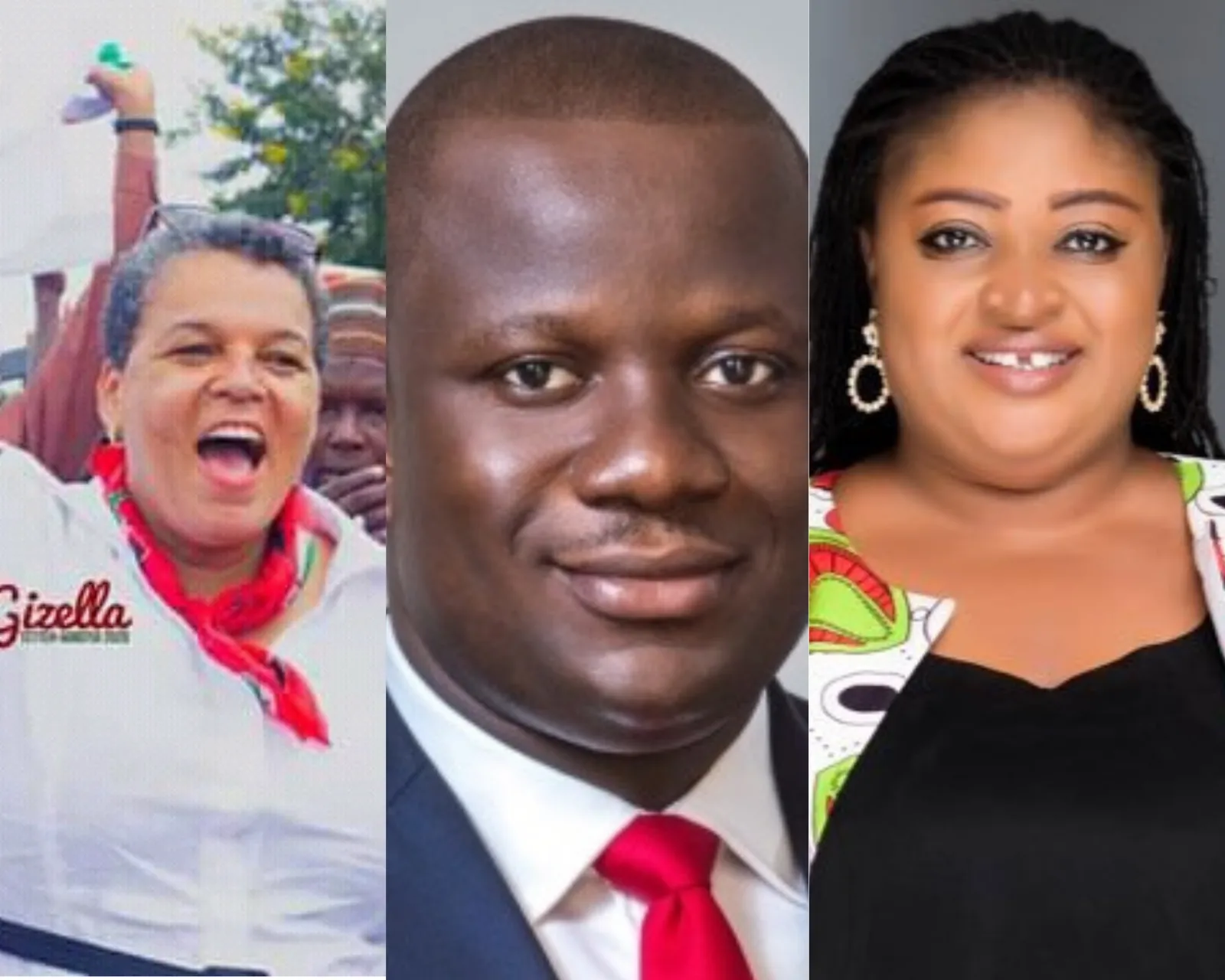 Meet the new legislators who will be going to parliament for the first time in 2021